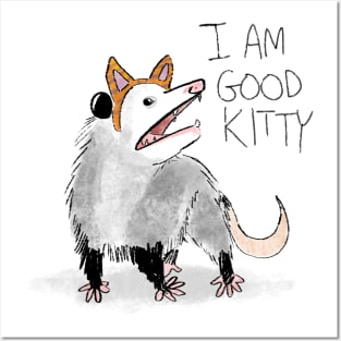 I AM GOOD KITTY Posters and Art